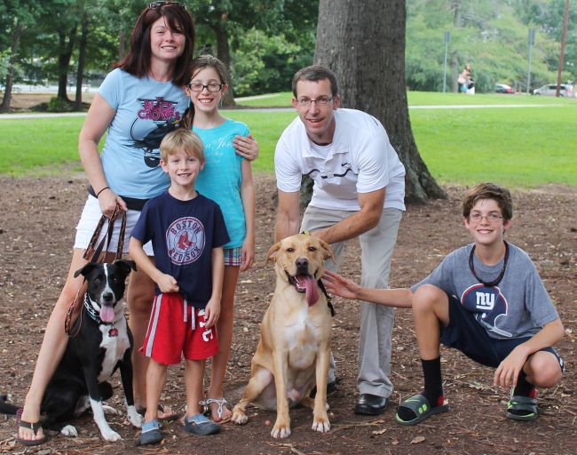 Labrador Friends Adopted - Murphy