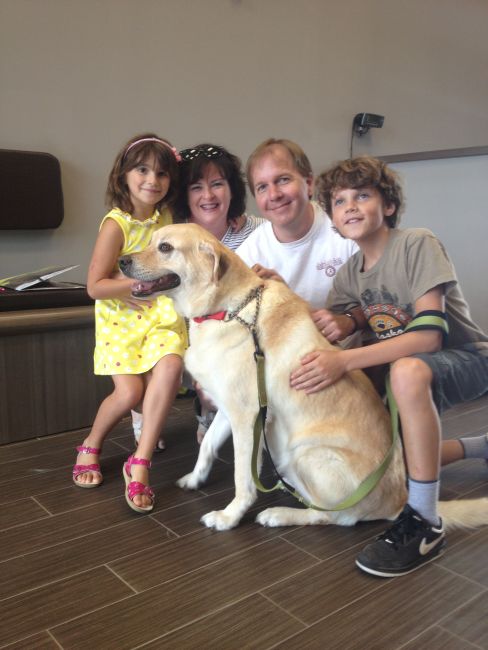 Labrador Friends Adopted - Sasha