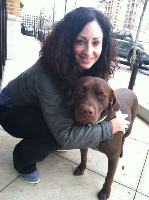 Labrador Friends of the South Adopted - Wendy