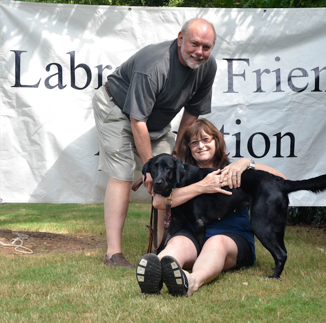 Labrador Friends of the South - Adoptes Alexis