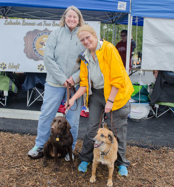Labrador Friends of the South - Adopted Sugar