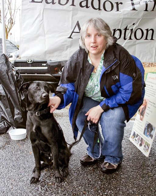 Labrador Friends Adopted - Charlie