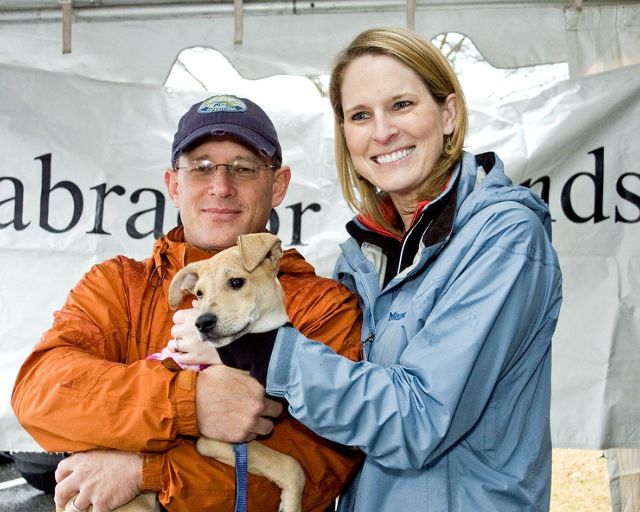 Labrador Friends Adopted - June
