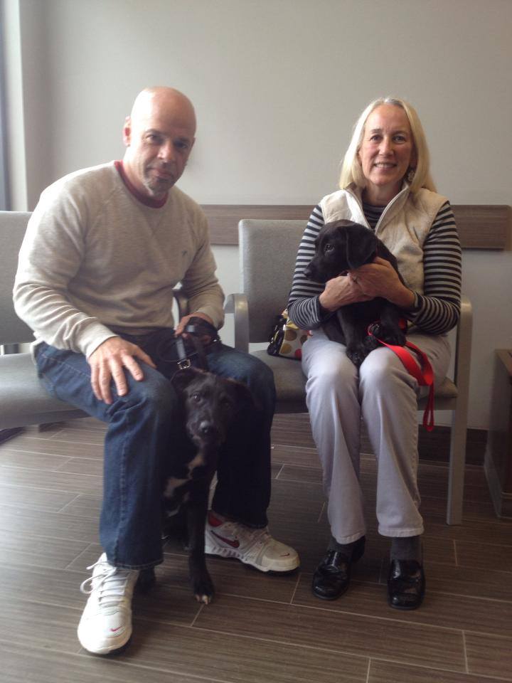 Labrador Friends of the South Adopted - Autumn