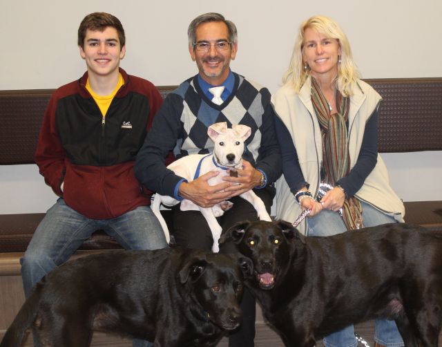 Labrador Friends of the South Adopted - Jack Frost