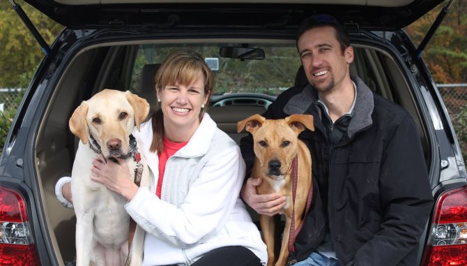 Labrador Friends of the South Adopted - Renny