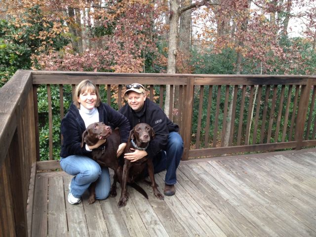 Labrador Friends of the South Adopted - Ziggy