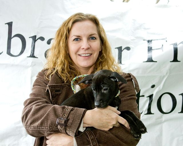 Labrador Friends - Adopted Mrs Clause