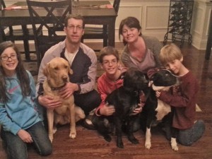 Labrador Friends of the South - Adopted Dog Isis