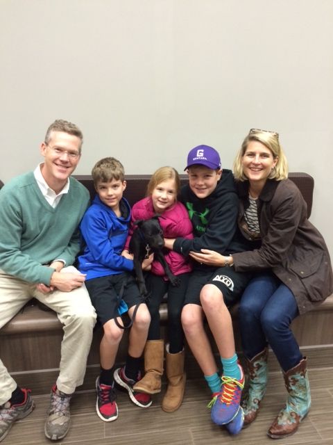 Labrador Friends of the South Adopted - Jack Frost