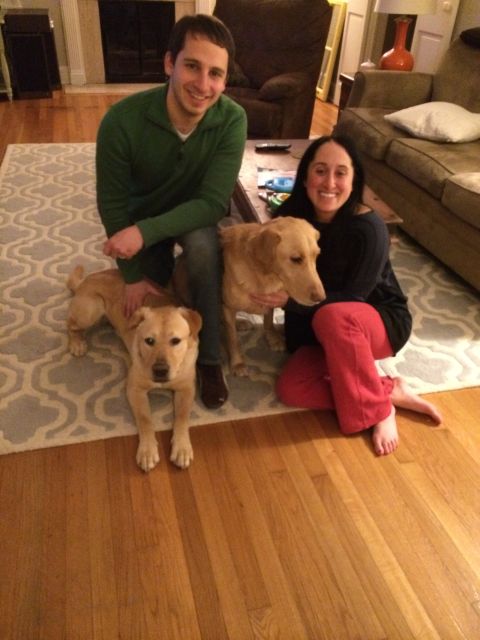 Labrador Friends of the South - Adopted Lester