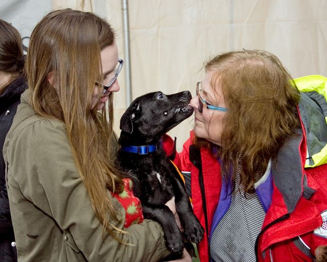 Labrador Friends of the South - Available Lab Jack Frost 1