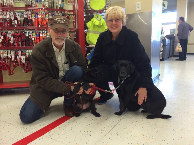 Labrador Friends of the South - Adopted Dog 2014_ Sleepy