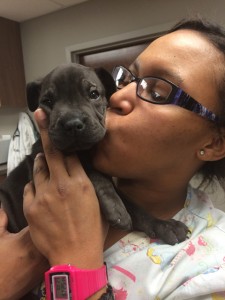 Labrador Friends of the South_Adopted_Dog_Happy
