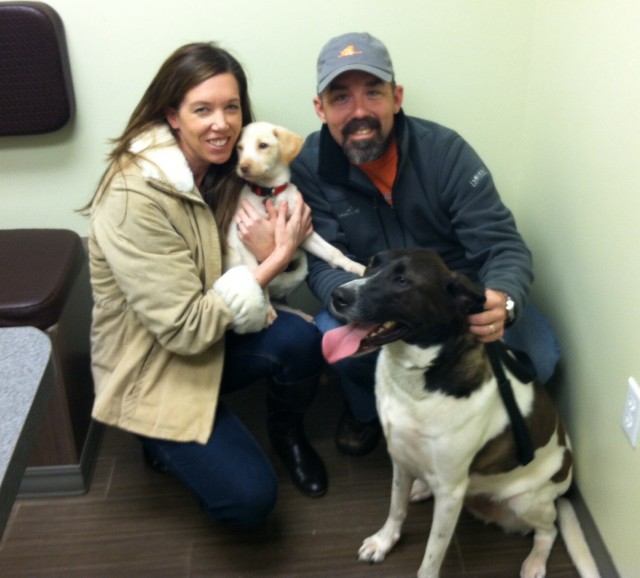 Labrador Friends of the South - Adopted Dog 2014_Macadamia