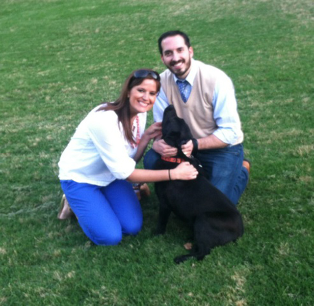 LabradorFriendsSouth _ Adonis_Adopted_2014
