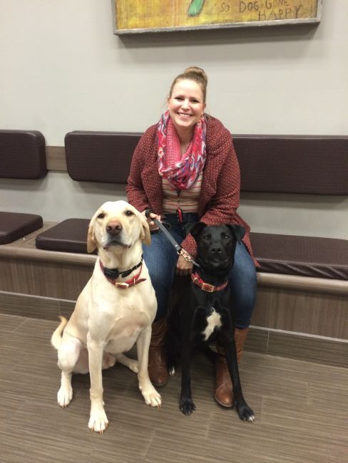 Labrador Friends of the South - Adopted Loki