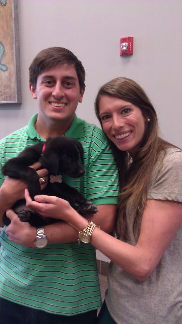 Labrador Friends of the South - Adopted Bravo