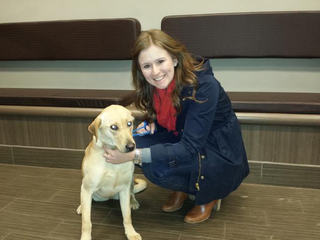 Labrador Friends of the South - Adopted Stowaway