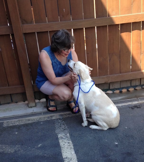 Molly – Adopted 06/11/2016