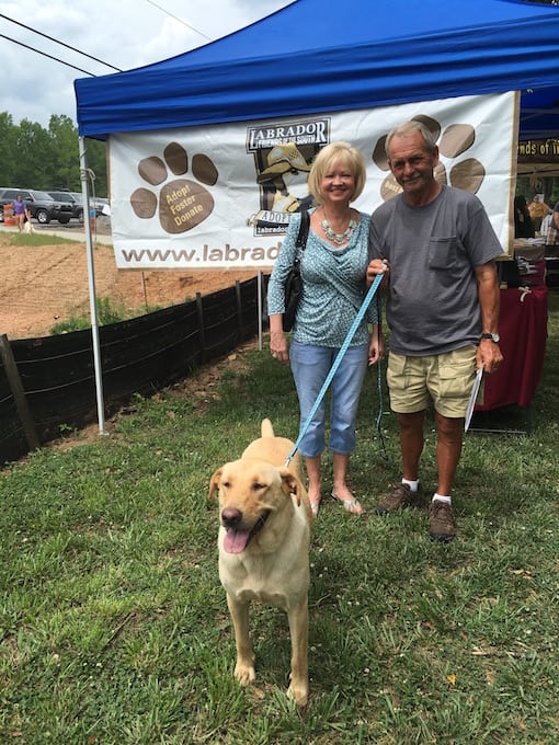 Sandy (Apache) – Adopted 06/04/2016