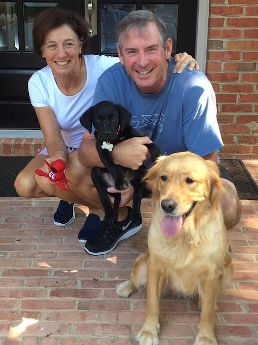 LFS_AdoptedDog2016_Cloney