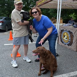 Alvin – Adopted 08/11/2018