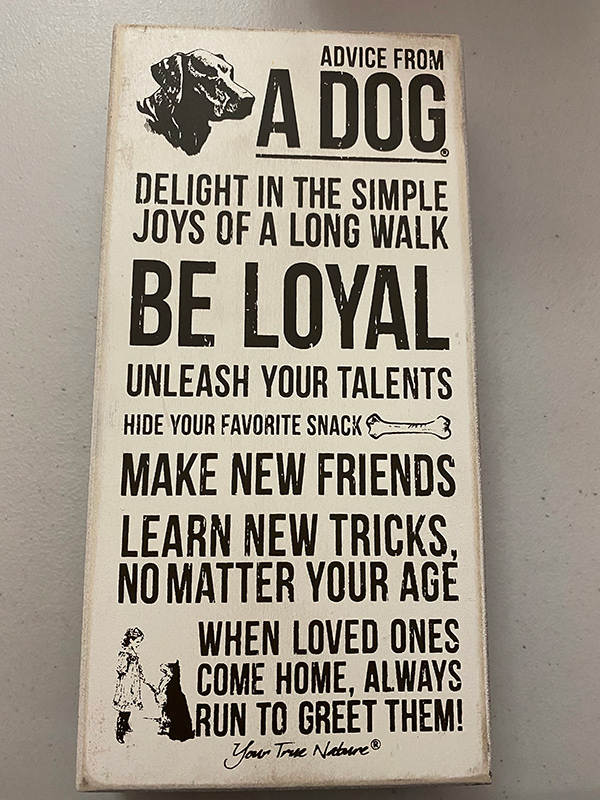 Dog Sign Ideas