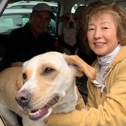 Mabel – Adopted 11/07/20