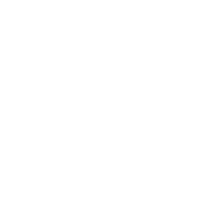 Labrador Friends of the South Facebook paw icon