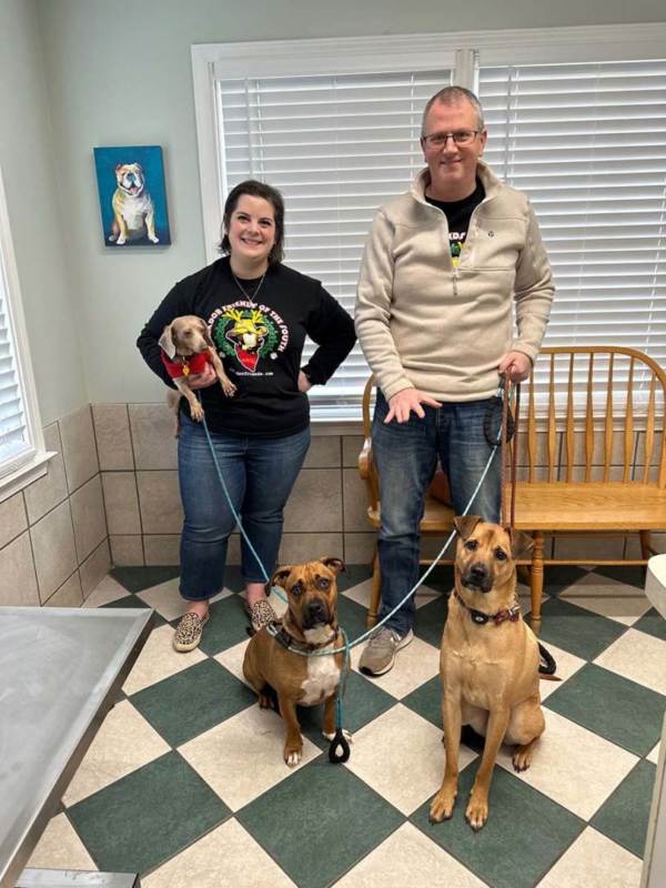 Jim – Adopted 21/12/22