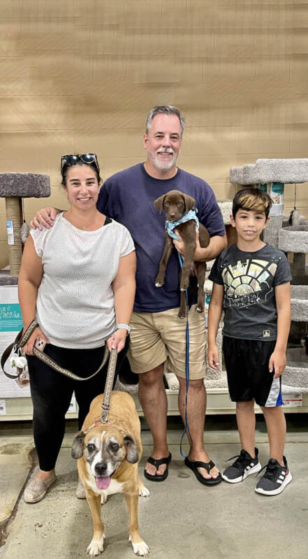 Tony Stark – The Marvel Pups – Adopted 07/22/2023
