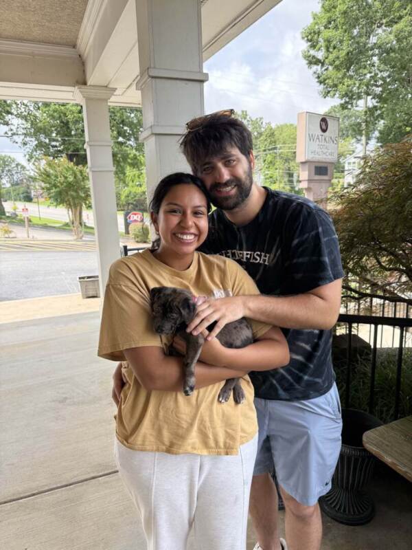 America – American Litter – Adopted 06/07/2025