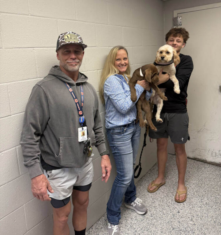 Skipper – Adopted 02/21/2026