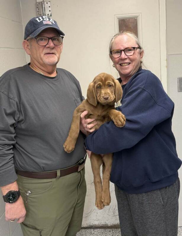 Brook – Adopted 02/21/2026