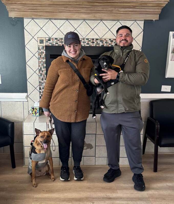 Arlo – Adopted 02/28/2026