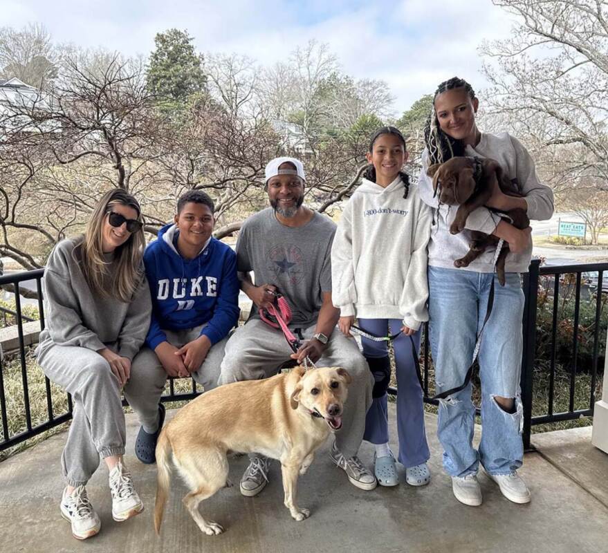 Pearl – Adopted 02/28/2026