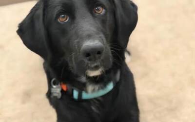 Sammy