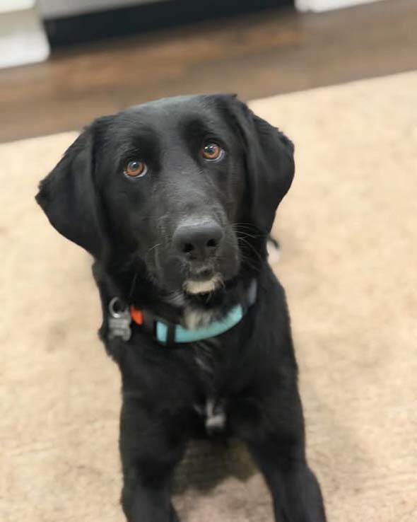 Sammy