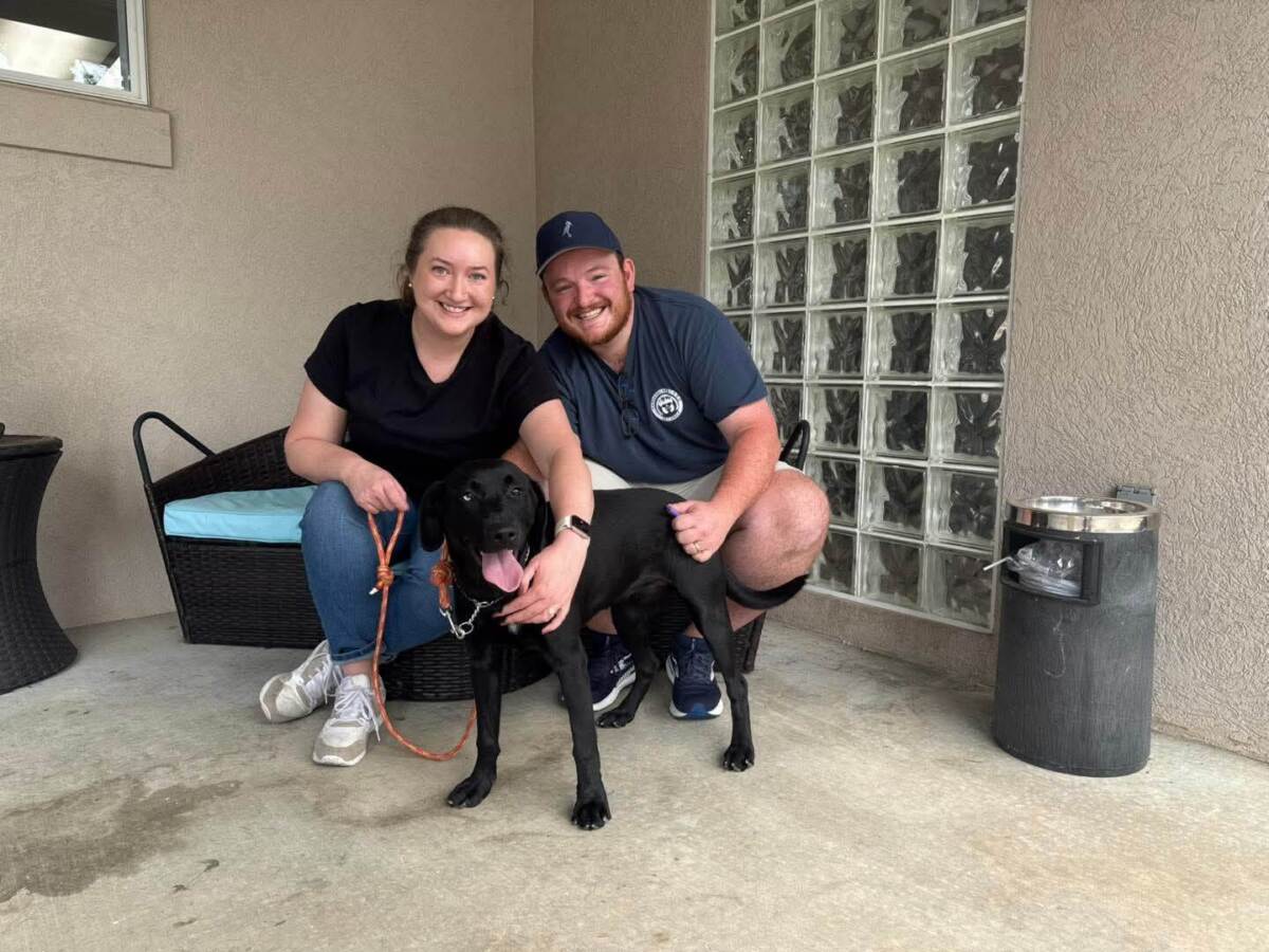 Bluey – Adopted 10/03/2026